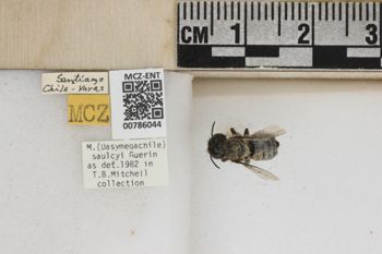 Media type: image;   Entomology 786044 Aspect: Labels